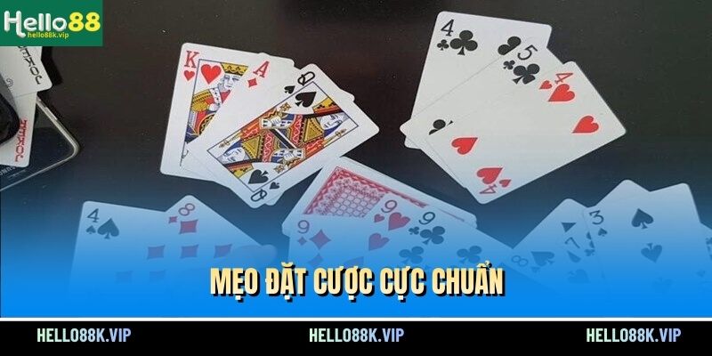 meo-dat-cuoc-cuc-chuan