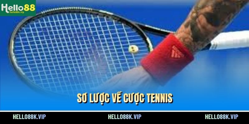 so-luoc-ve-cuoc-tennis