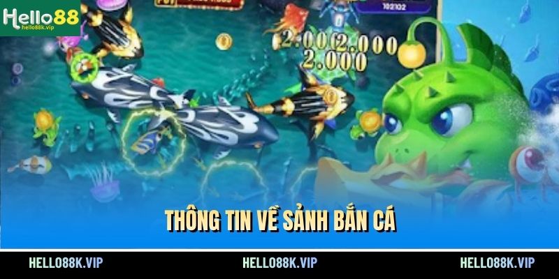 thong-tin-ve-sanh-ban-ca